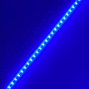 Meet your Posher, Jasleen